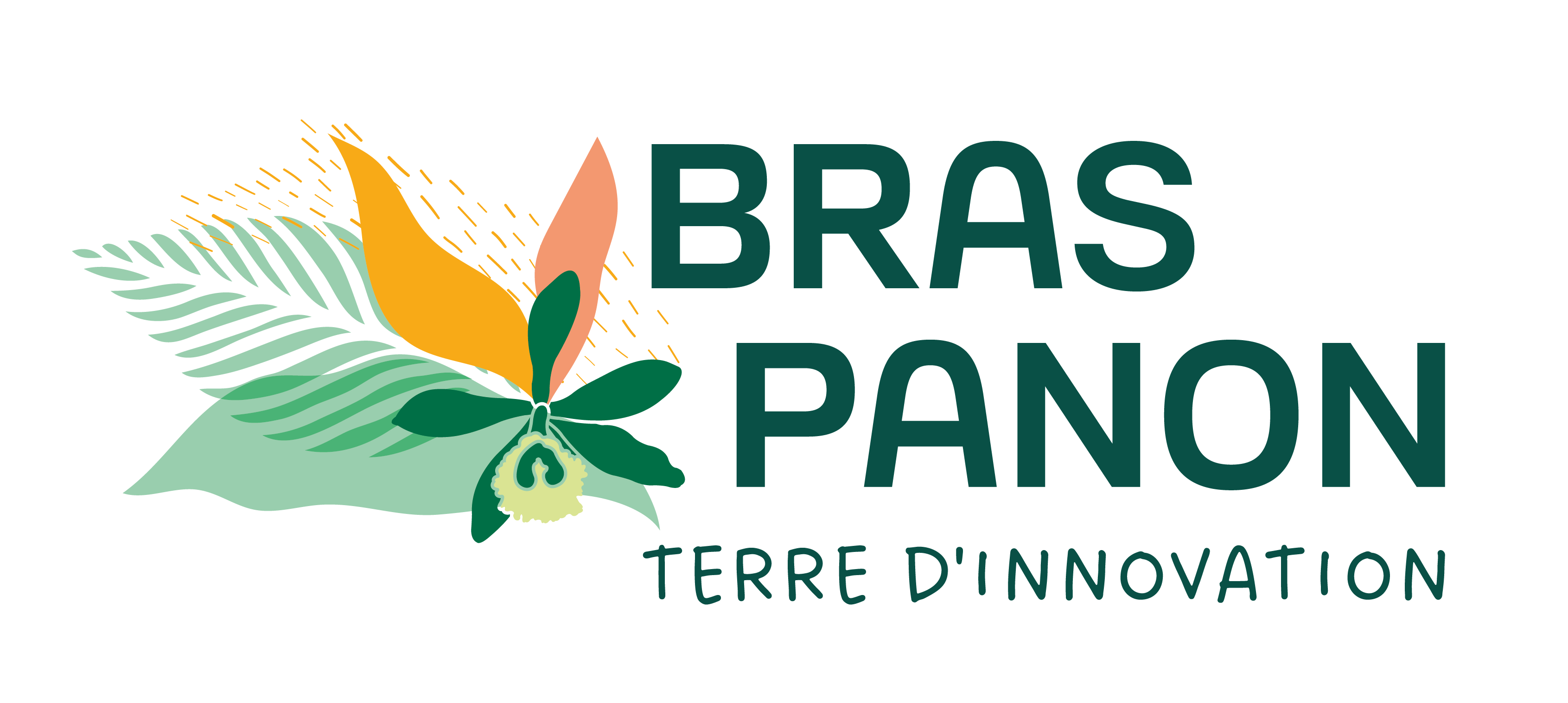 Bras panon - Presse