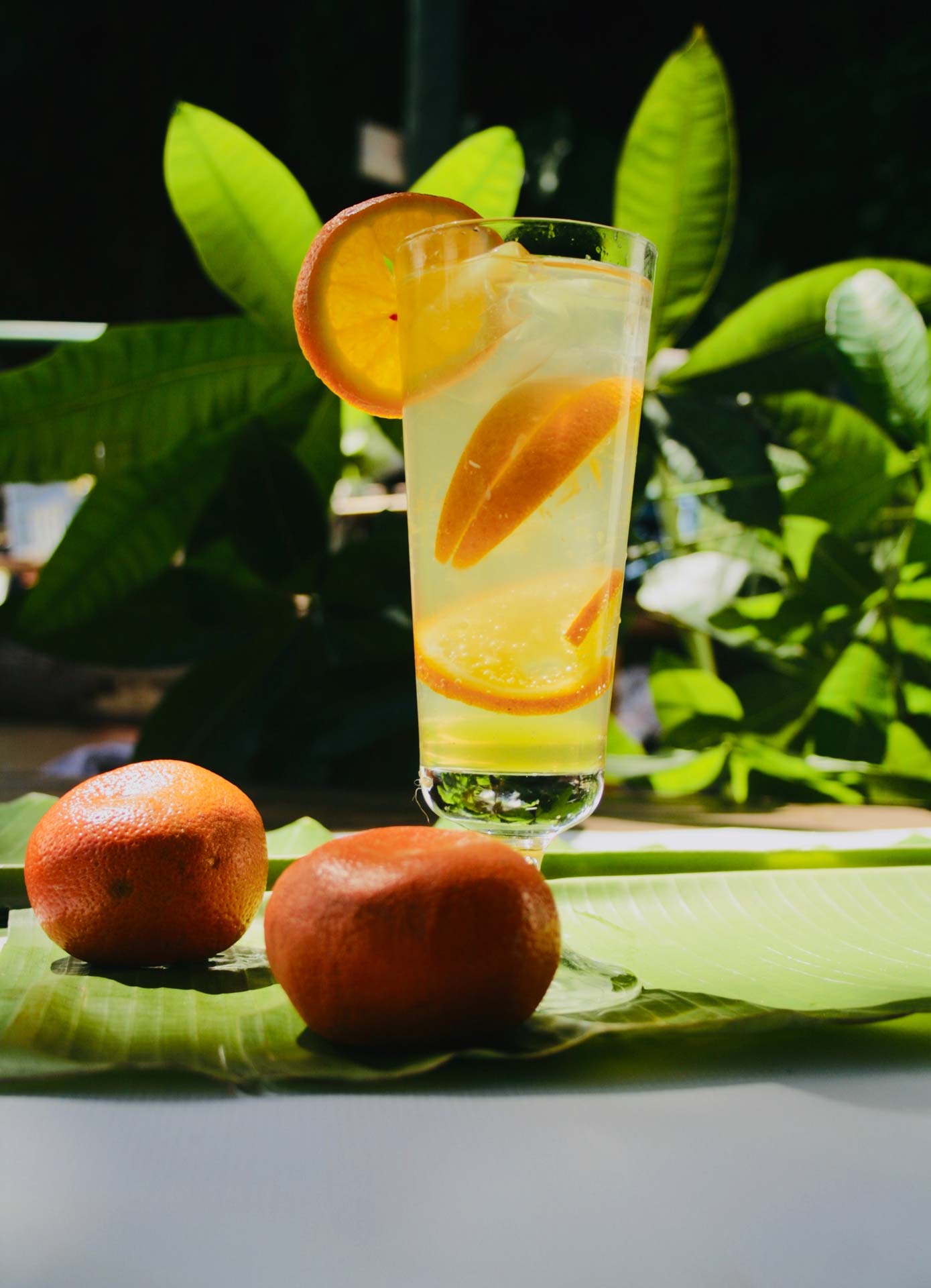 Mandarine - Coktail